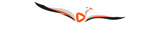 Albatrozo